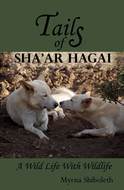 GESCHICHTEN AUS SHAAR HAGAI